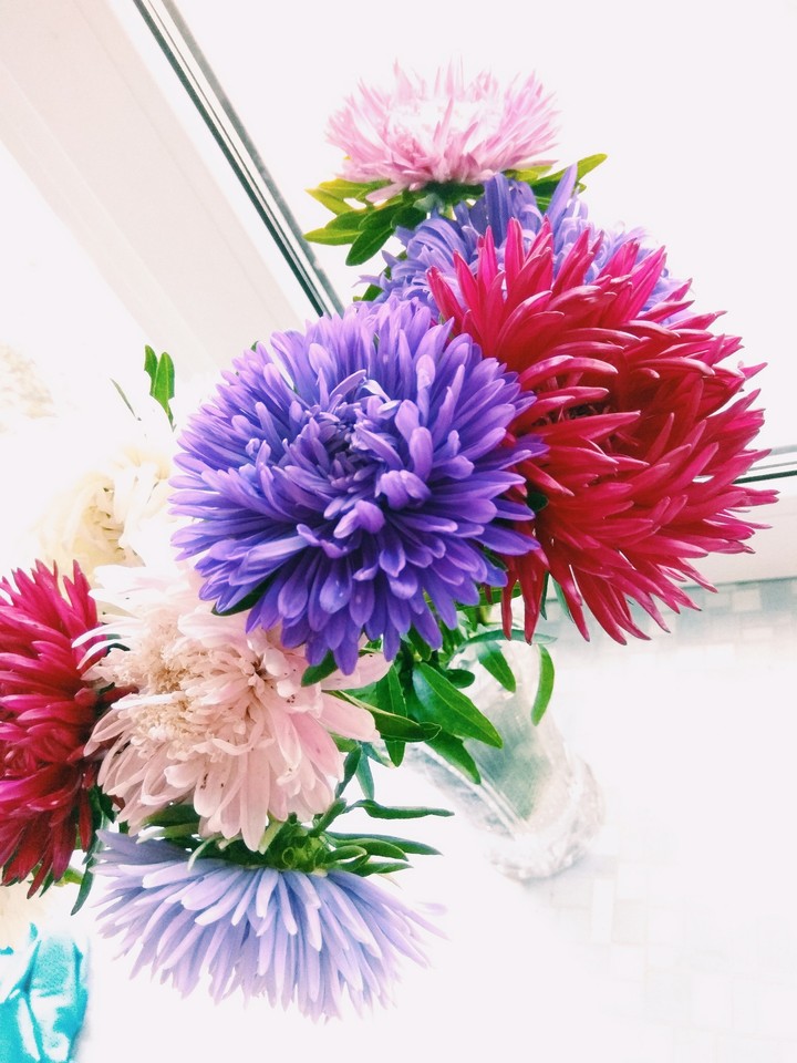 flowers