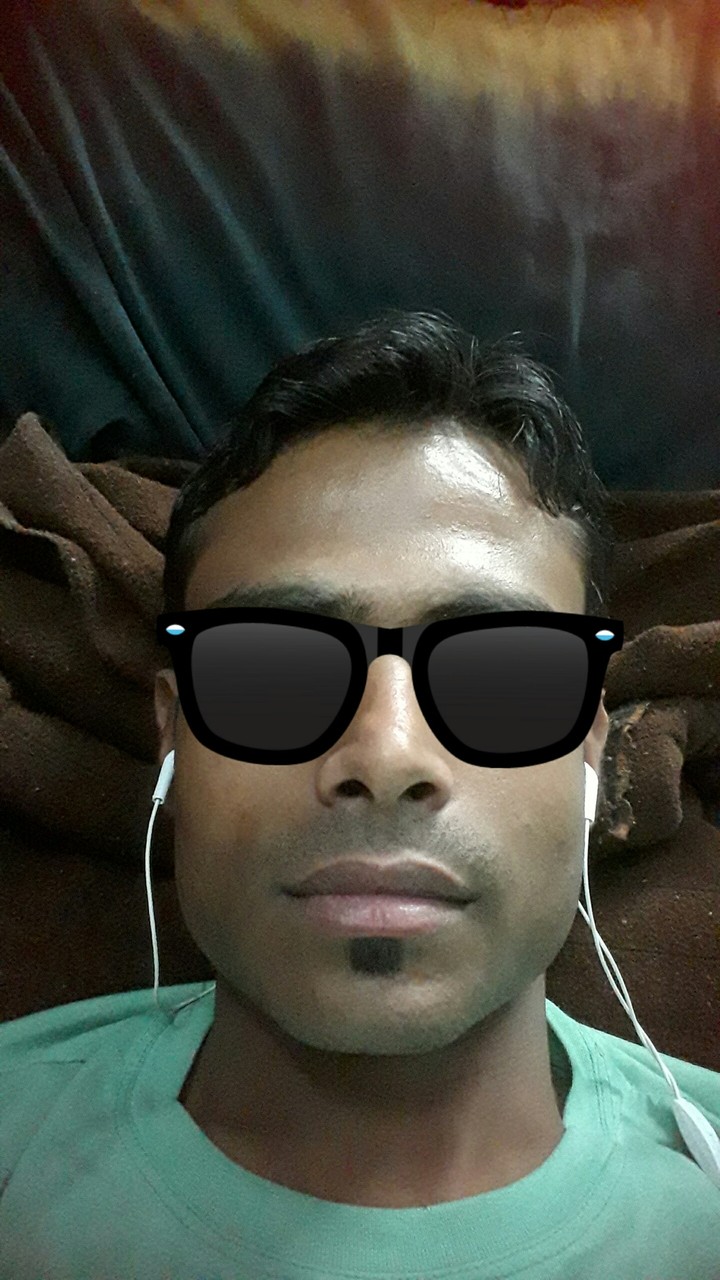 sharik