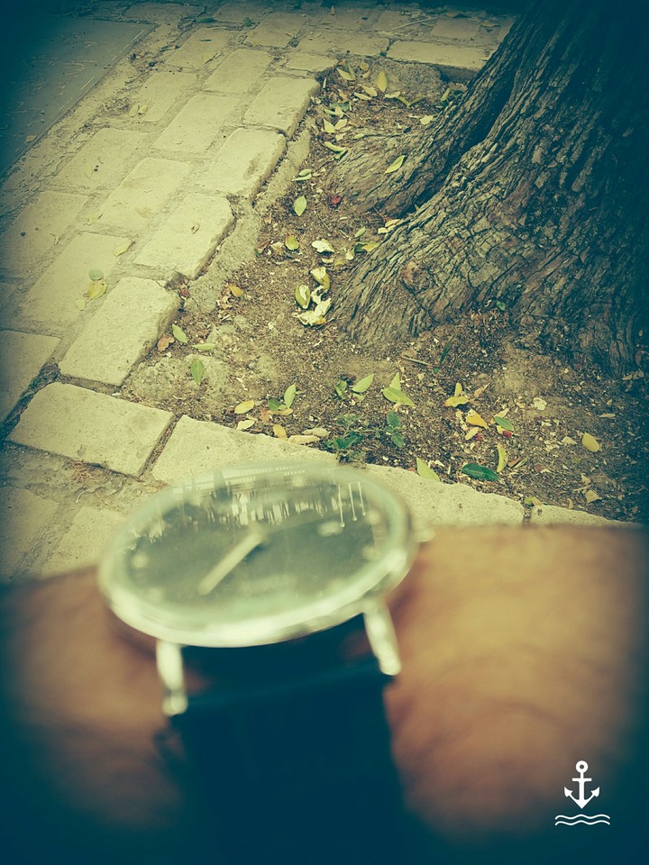 watch