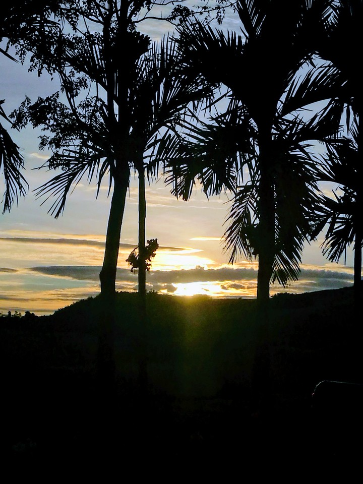 sunrise