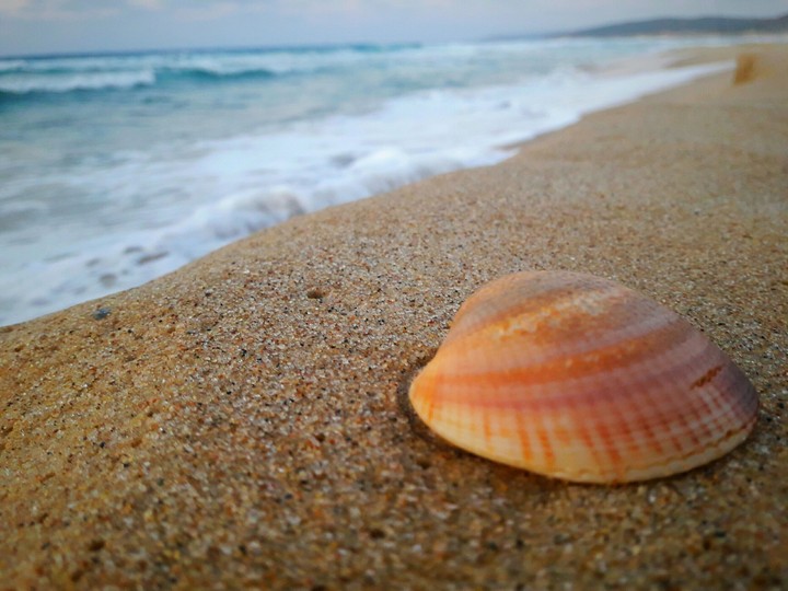 beach