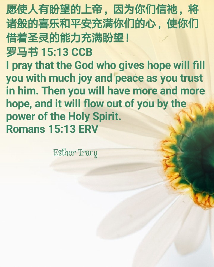 hope will fill you with much joy and peace