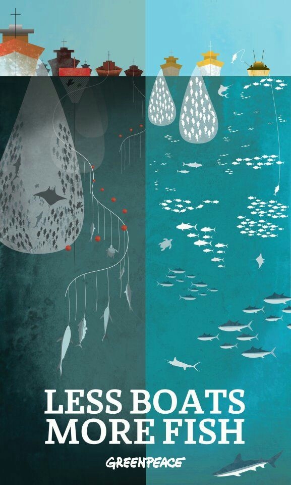 less Boats more fish