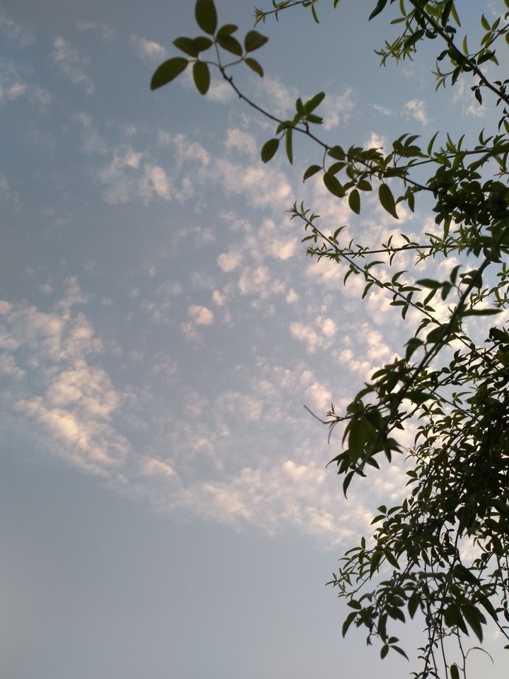 sky