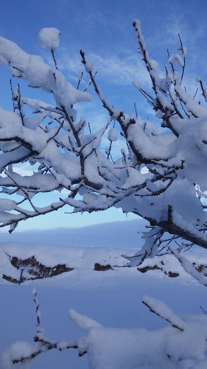 Nevşehir Cappadocia Snow