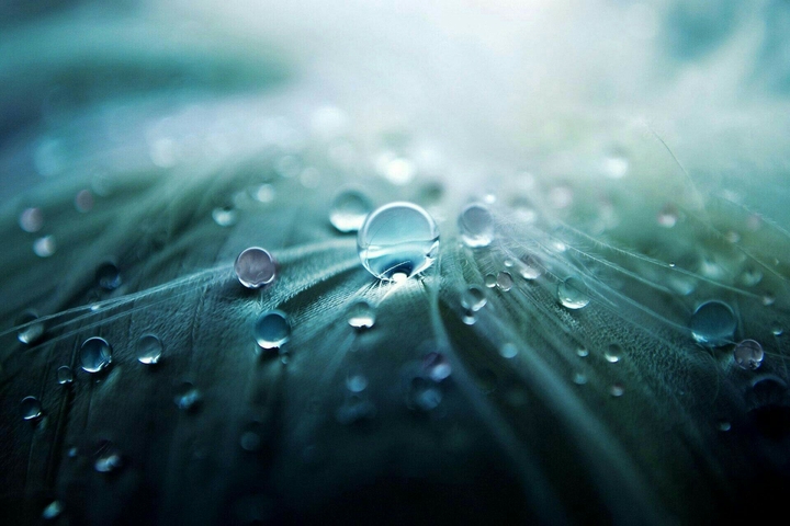Waterdrops