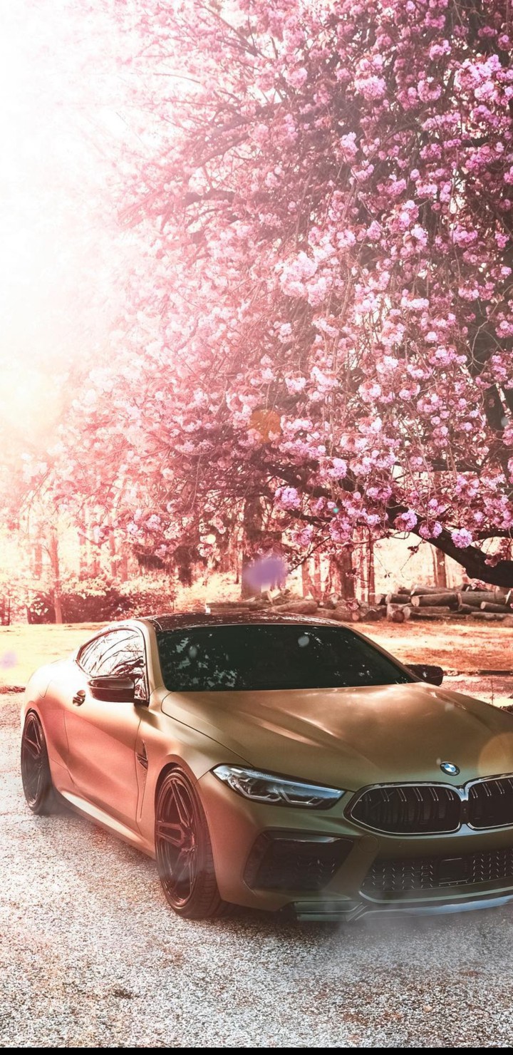 BMW m8