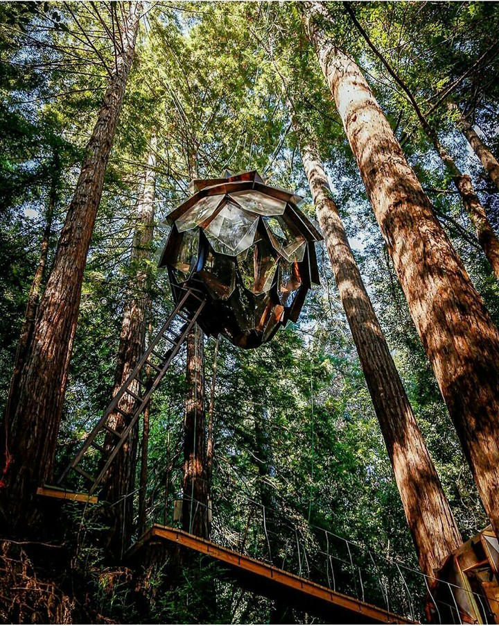 Jungle