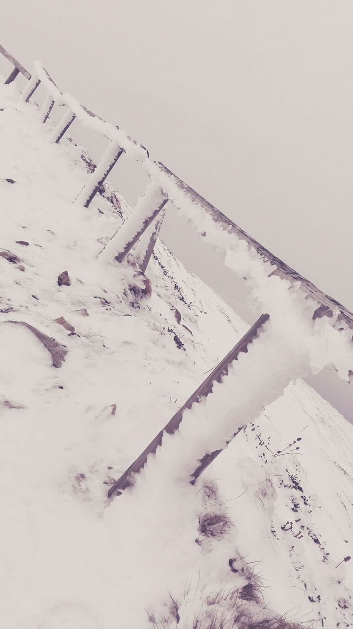 snowy path
