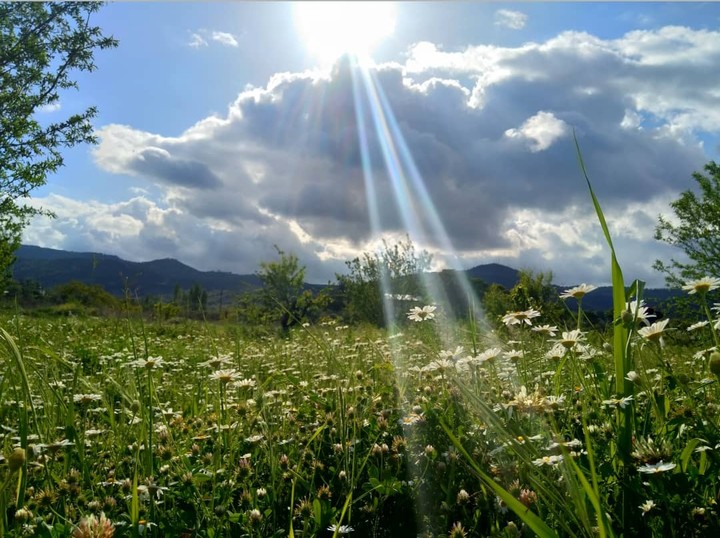 Doğa 