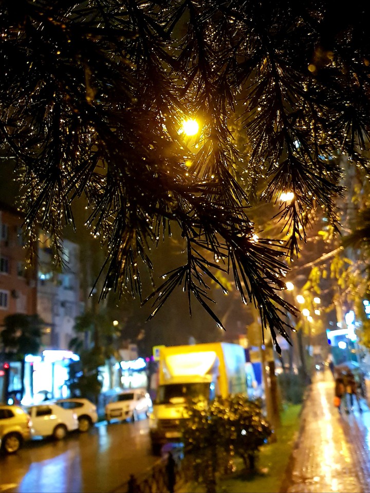 Любимый город. Сочи