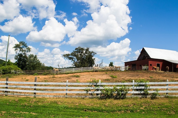 Farm Life