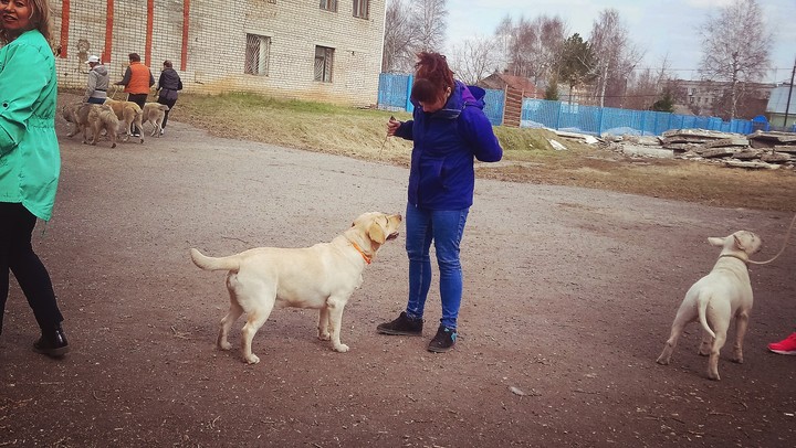 моня