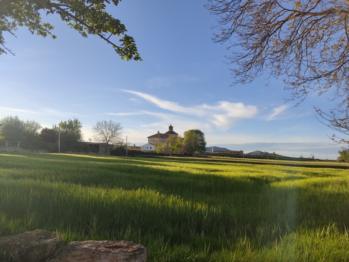 caminreal Teruel campo de cebada