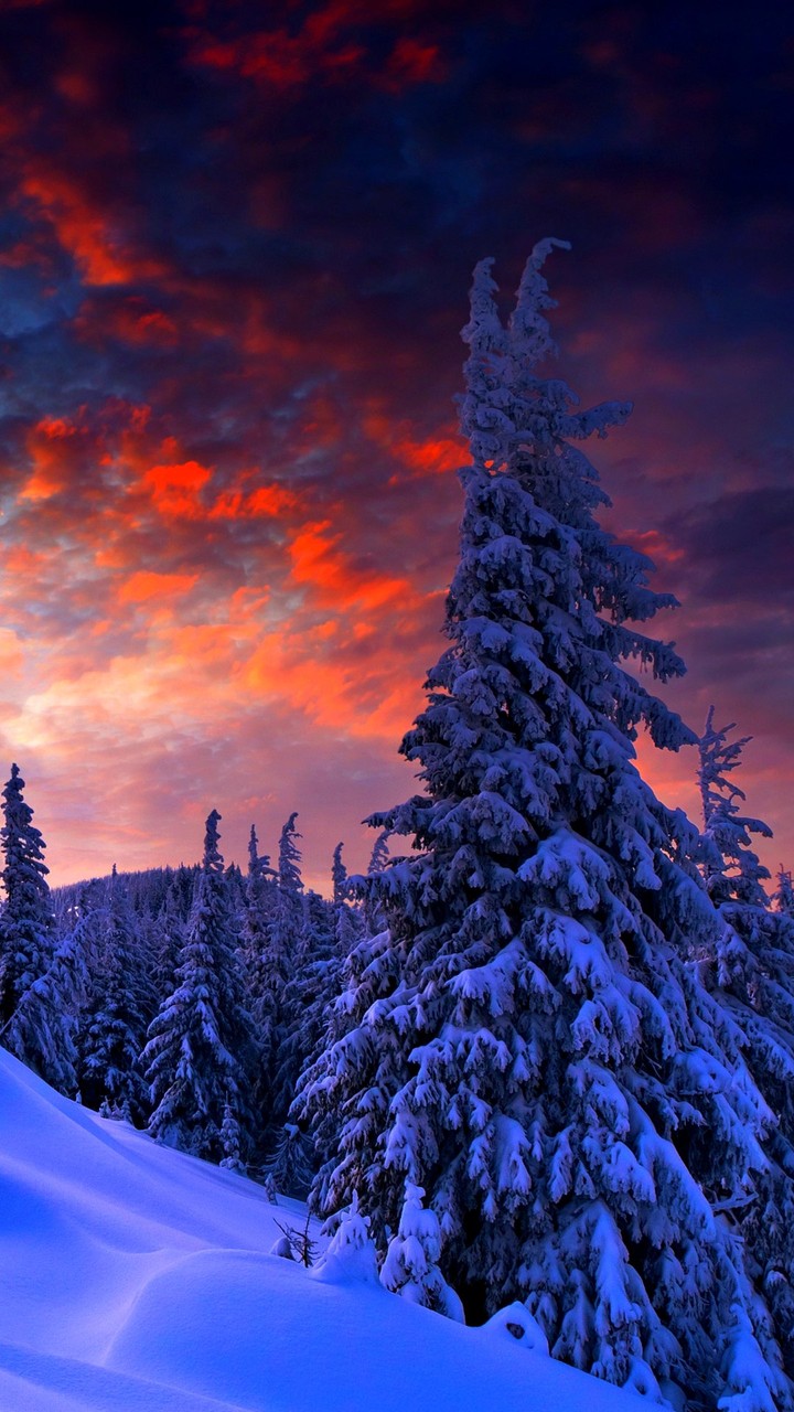 snow