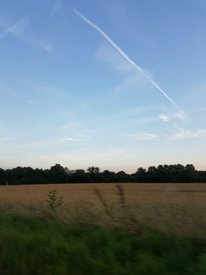 French Sky.