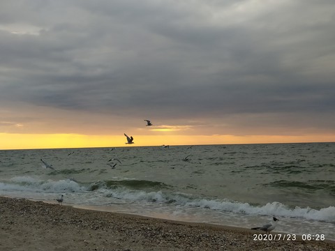 море