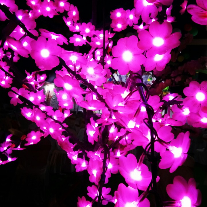 lighting flower