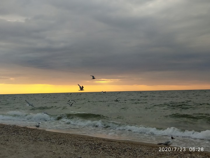 море