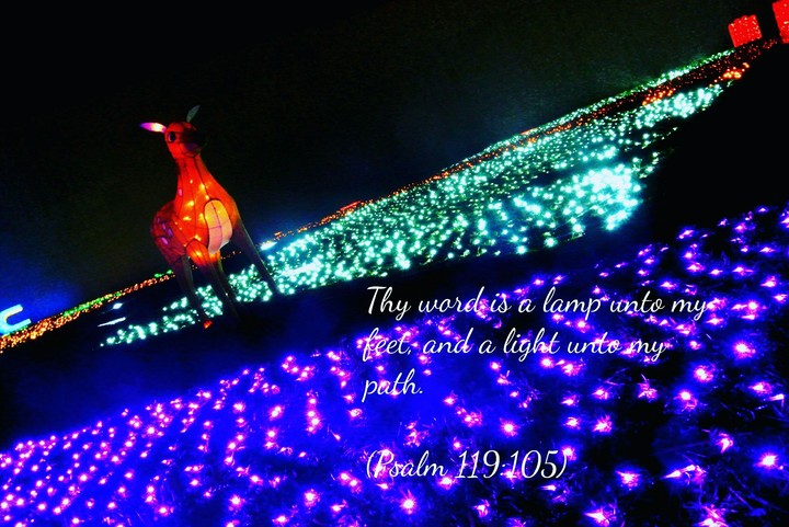 lights at night