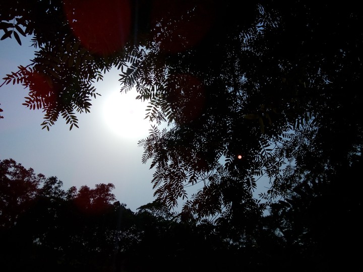 My Photography