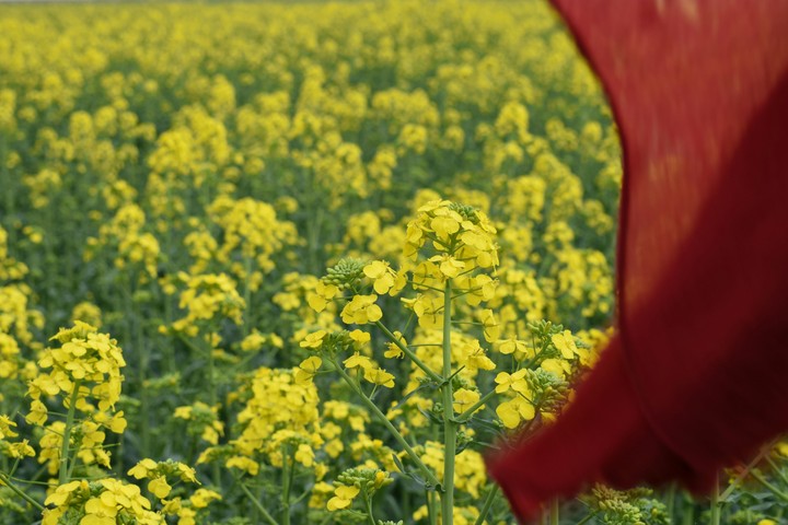 red