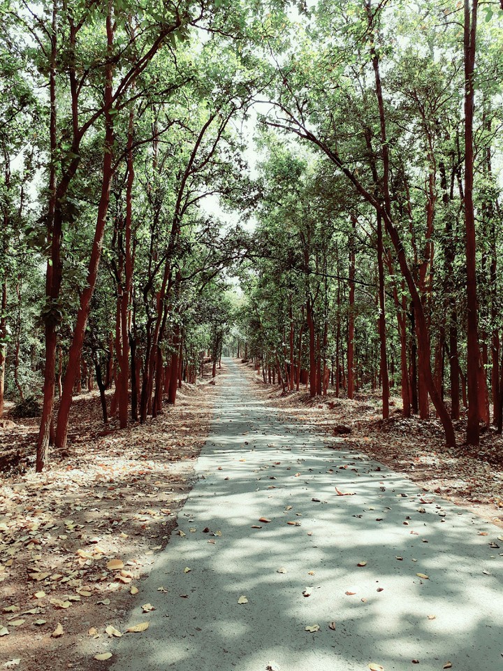 way
