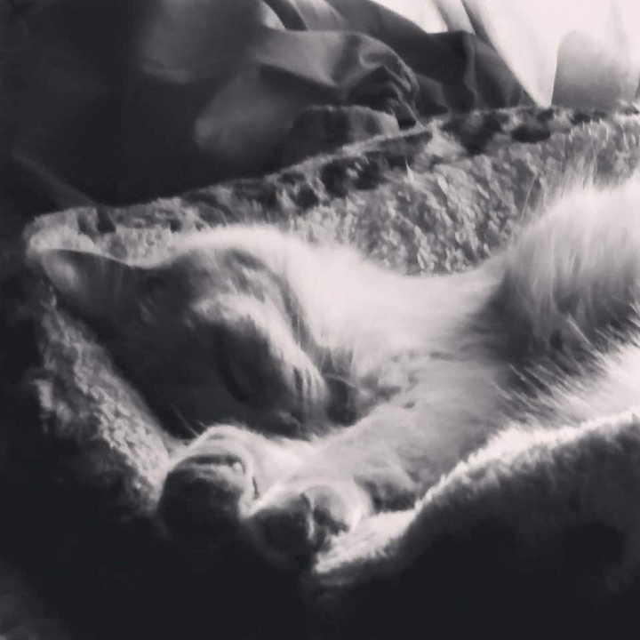 shhh...baby sleeping