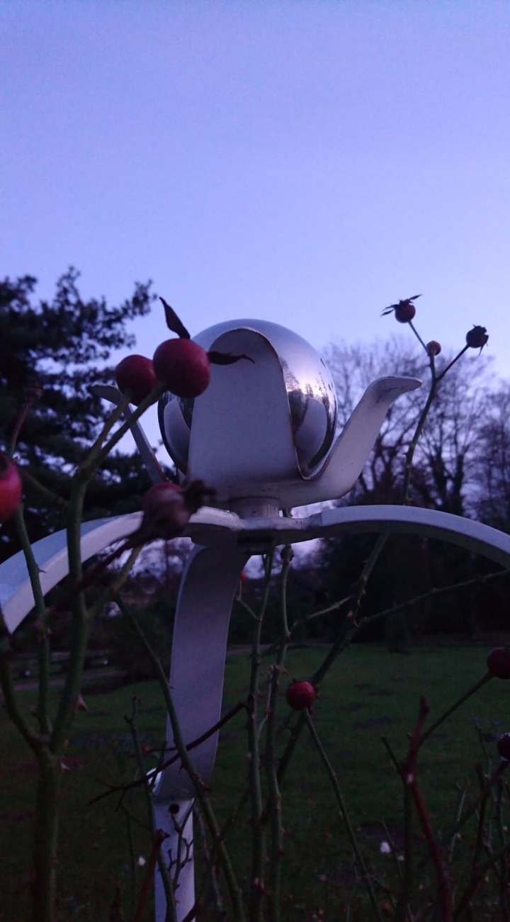 Natur#Rosarium