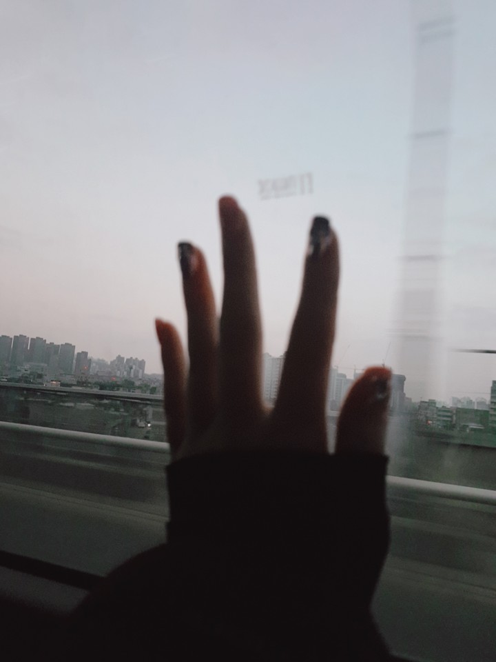 흑백세상