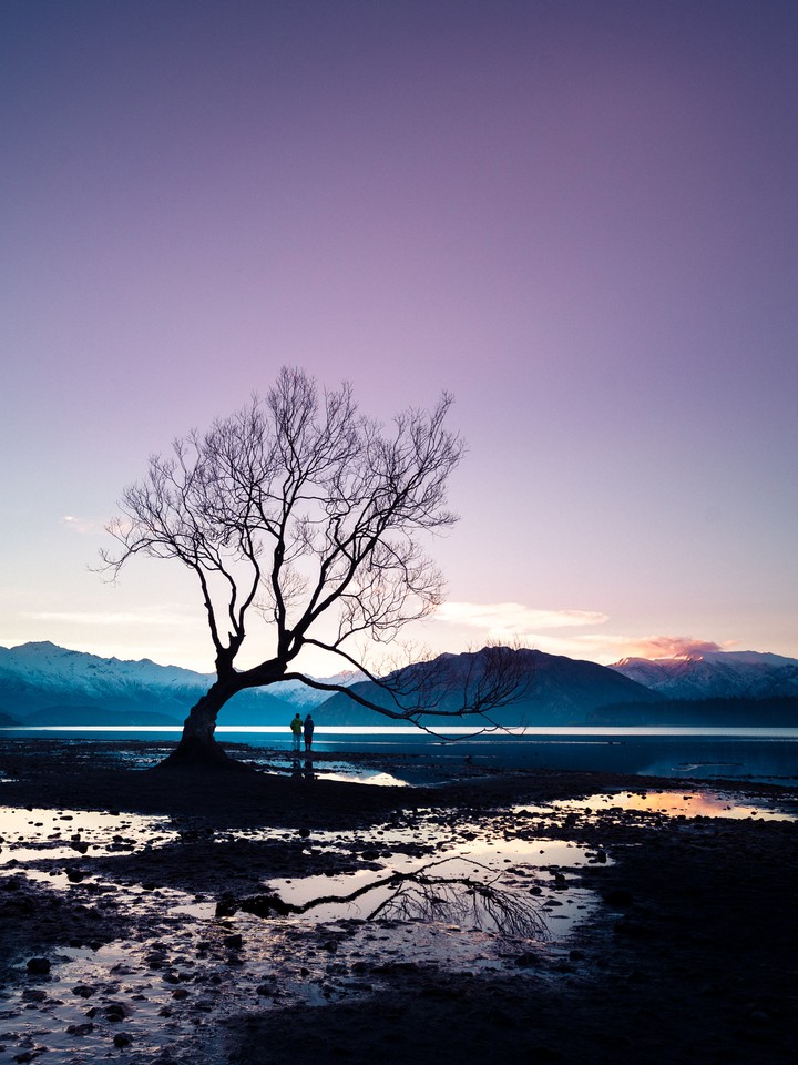 Is it Love or Nature !