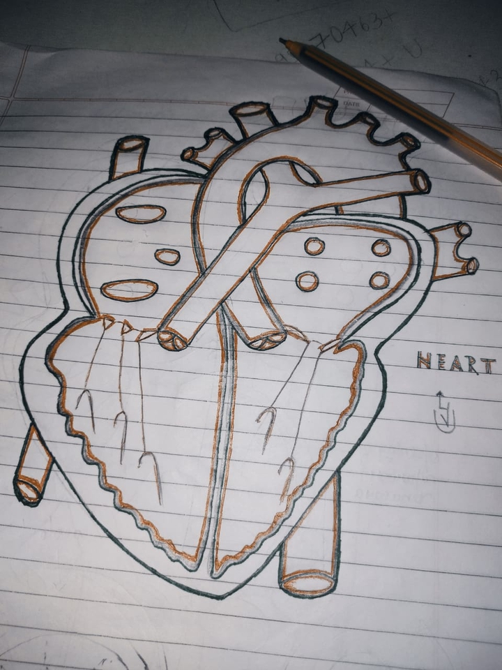 Heart