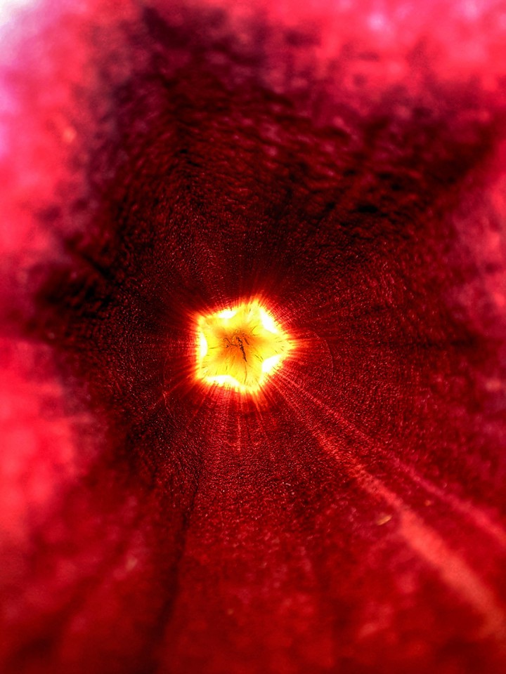 Golden eye