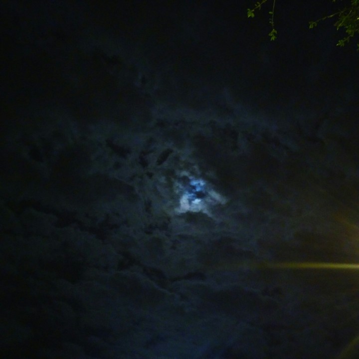 moonshine