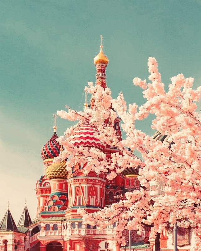 москва