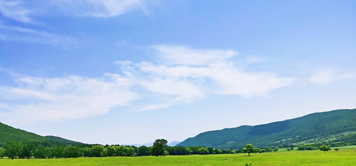 YueQing town，pasture