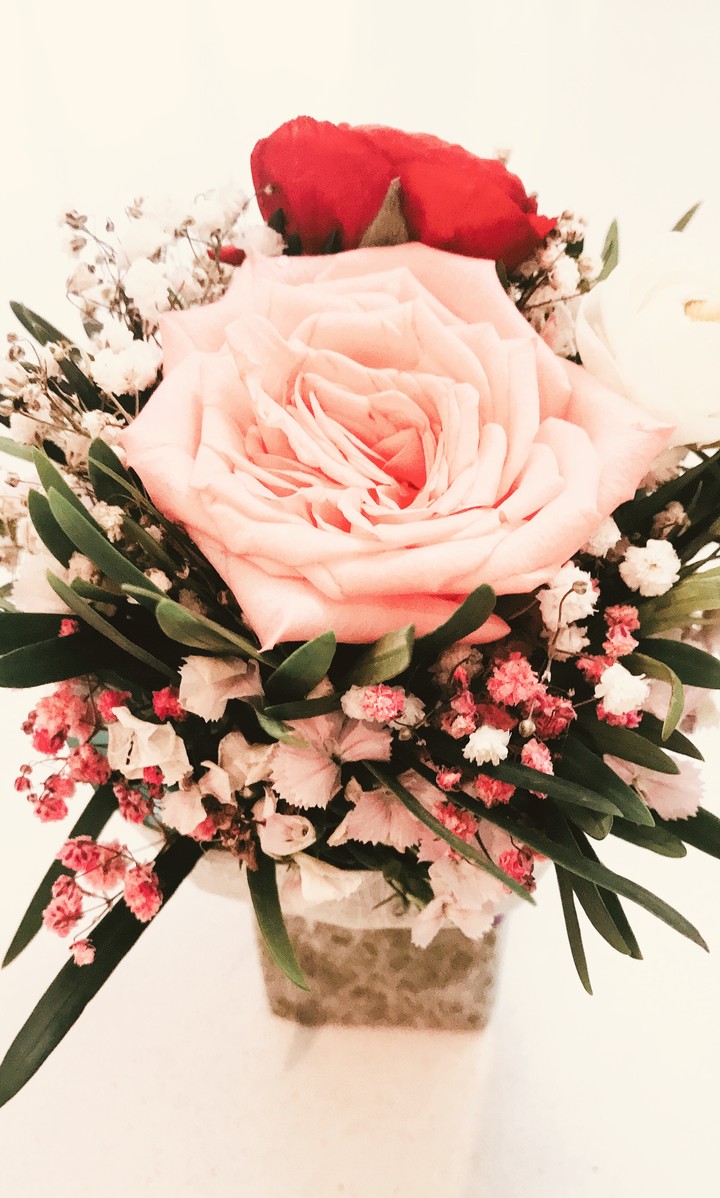 the pink flower?