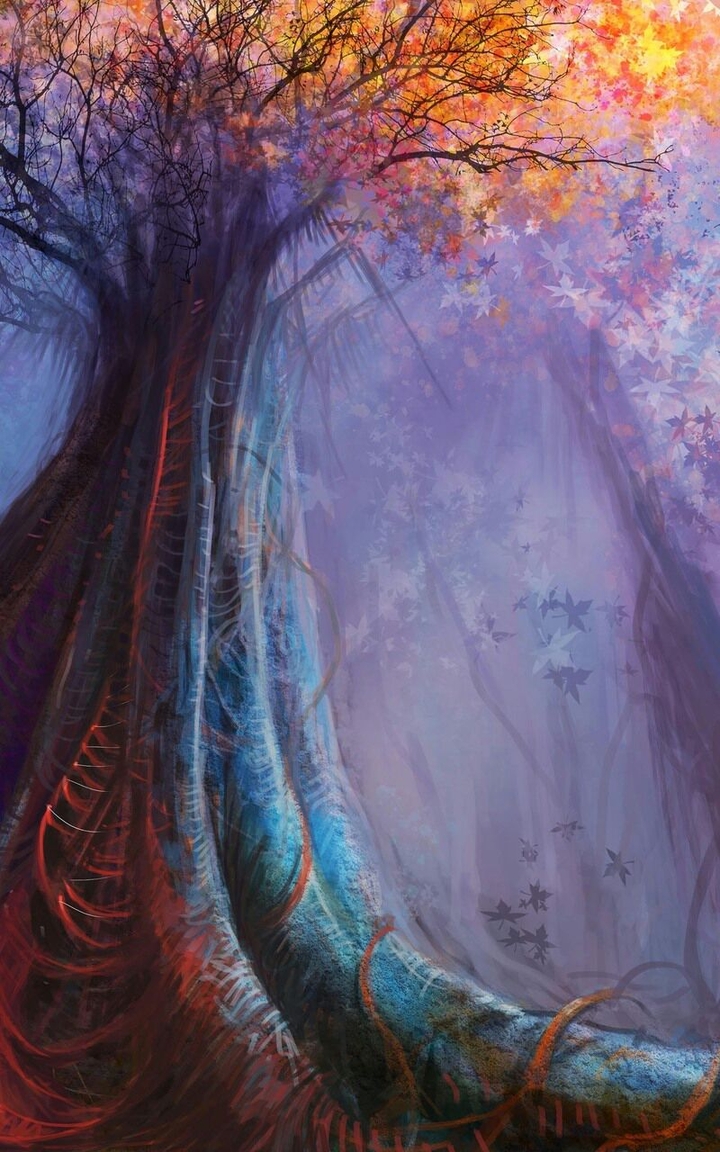 Forest Fantasy