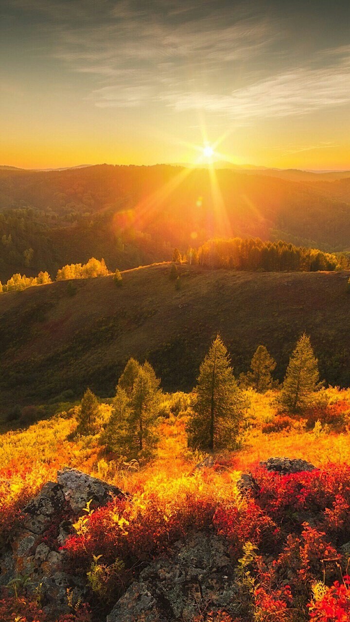nature