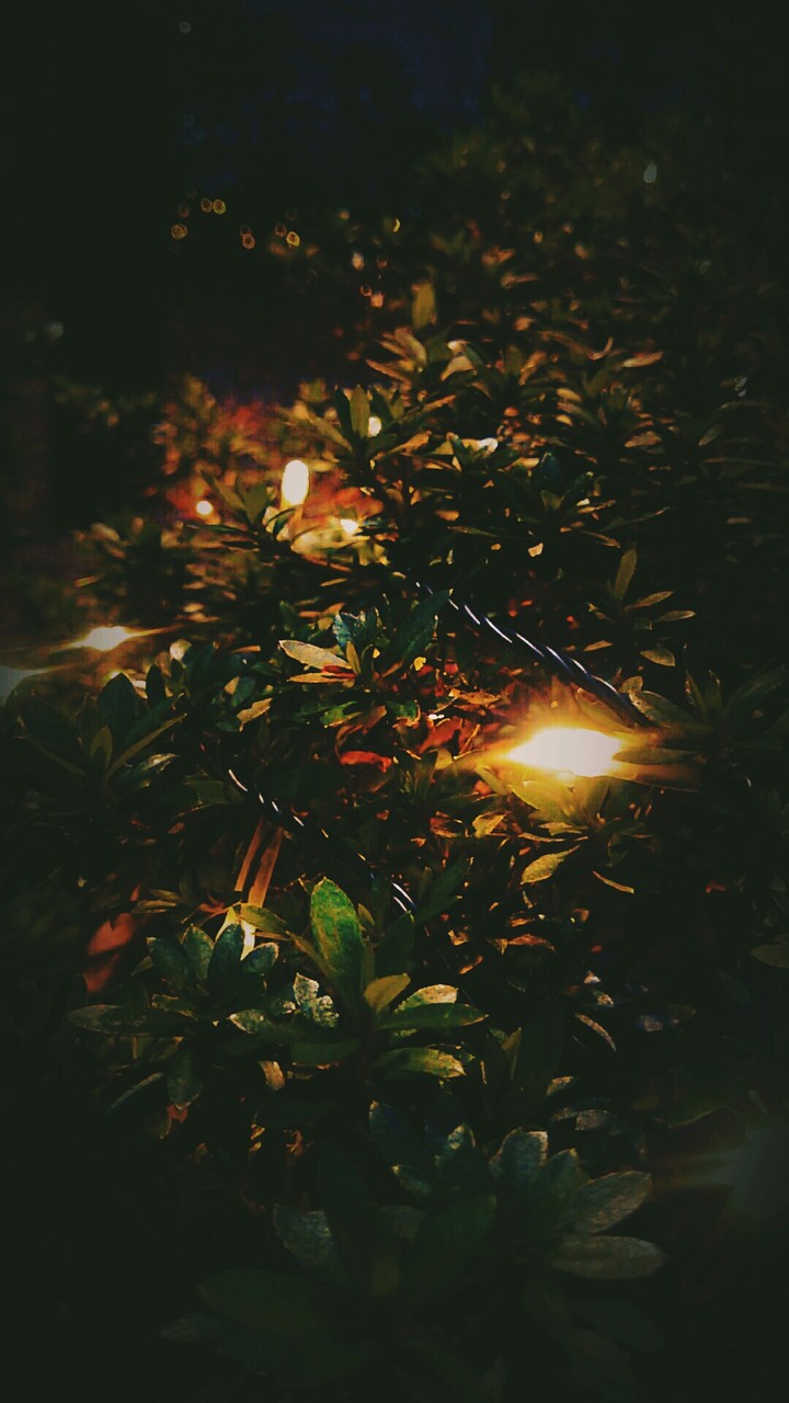 illumination