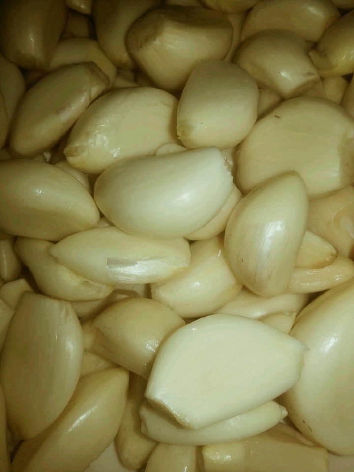 garlic