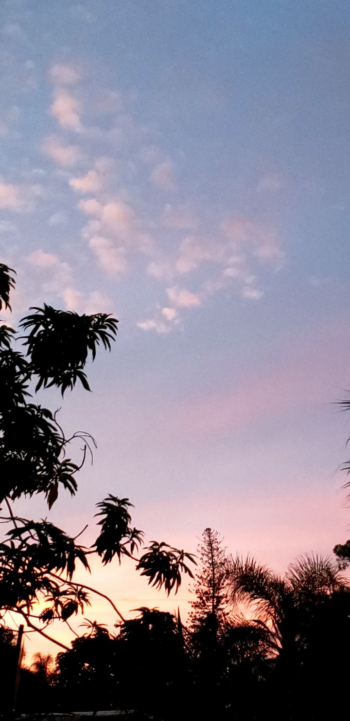 A Pink Sunset