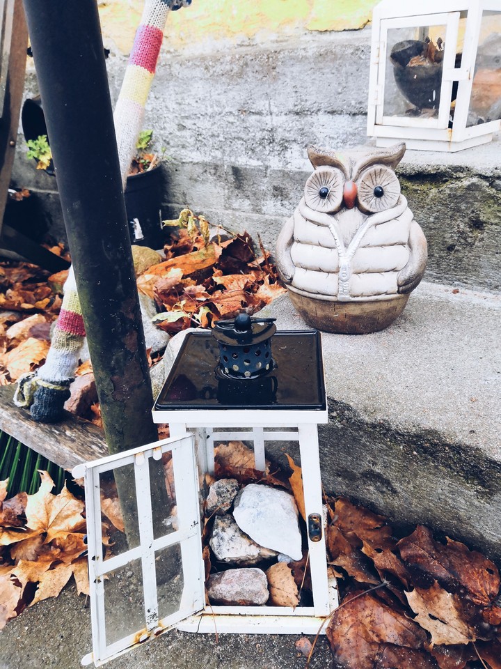 Owl and lamp