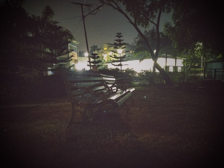 lonely misty evening