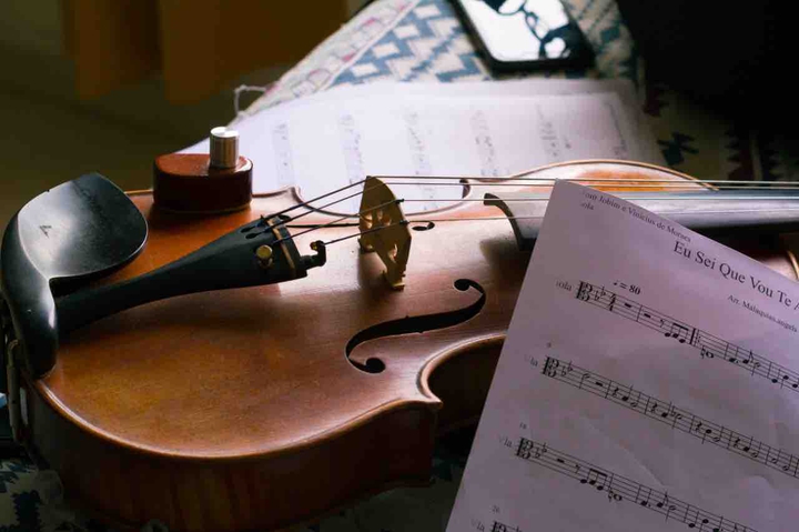 viola
