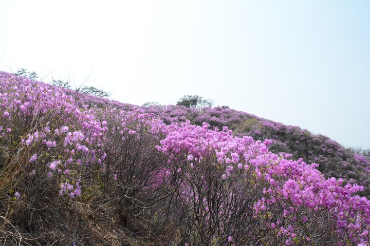 풍경이미지