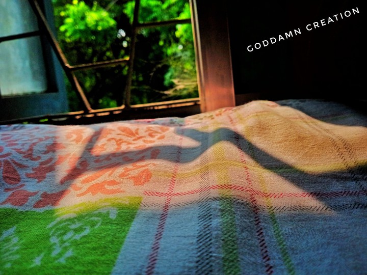 Sun shade..