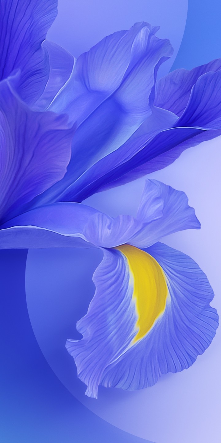 xiaomi m9