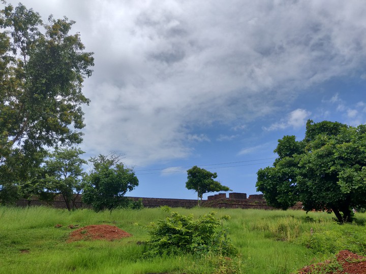 scenary