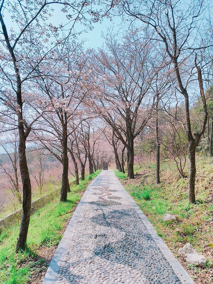 Blossom way